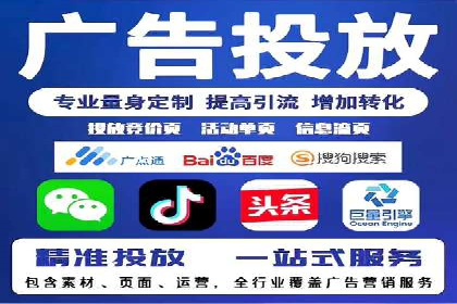 行业领先企业的SEM代理案例剖析